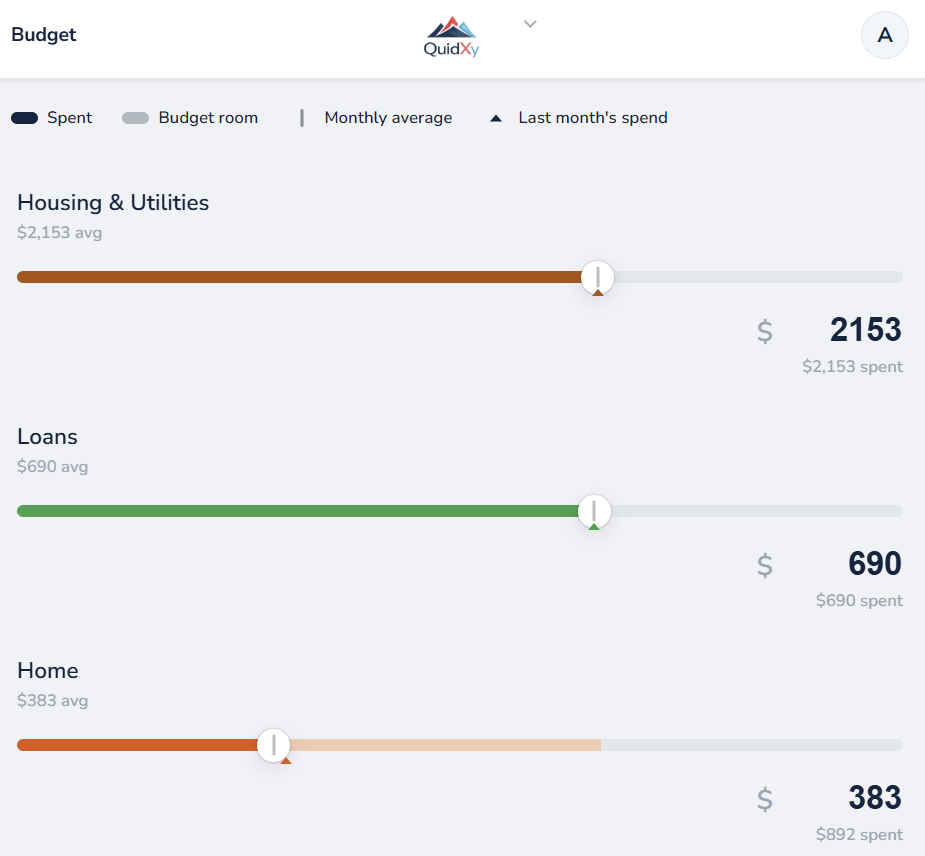 QuidXy Budget – categories
